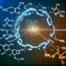 ¿Qué pasa si se interrumpe un ciclo con Yohimbine chlorine?
